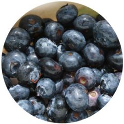 Yoogout Frozen Yogurt Blueberries