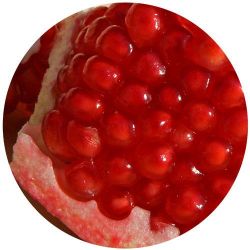 Yoogout Frozen Yogurt Pomegranate