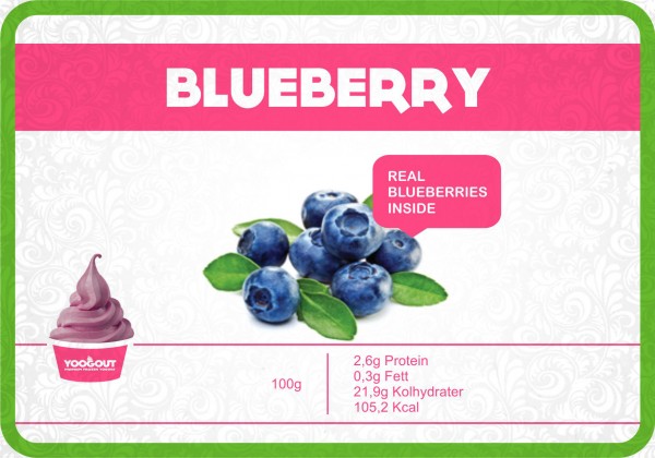 yoogout-malmo-frozen-yogurt-blueberry