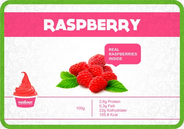 yoogout-malmo-frozen-yogurt-raspberry